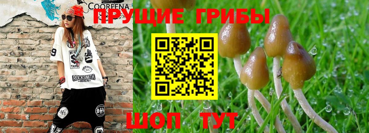 Галлюциногенные грибы Magic Shrooms Геленджик